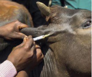 Mehr über den Artikel erfahren Praxis in Uganda