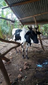 Read more about the article Toka wächst rasant