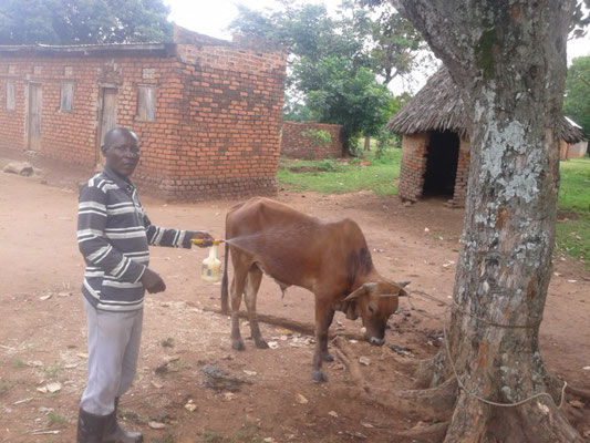 Mehr über den Artikel erfahren Neue Stärke nach der Pandemie