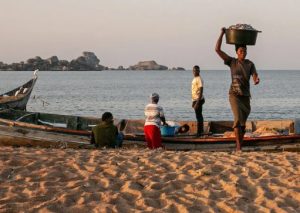 Mehr über den Artikel erfahren Insel der Witwen