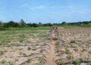 Mehr über den Artikel erfahren Mehr Bildung, weniger Armut