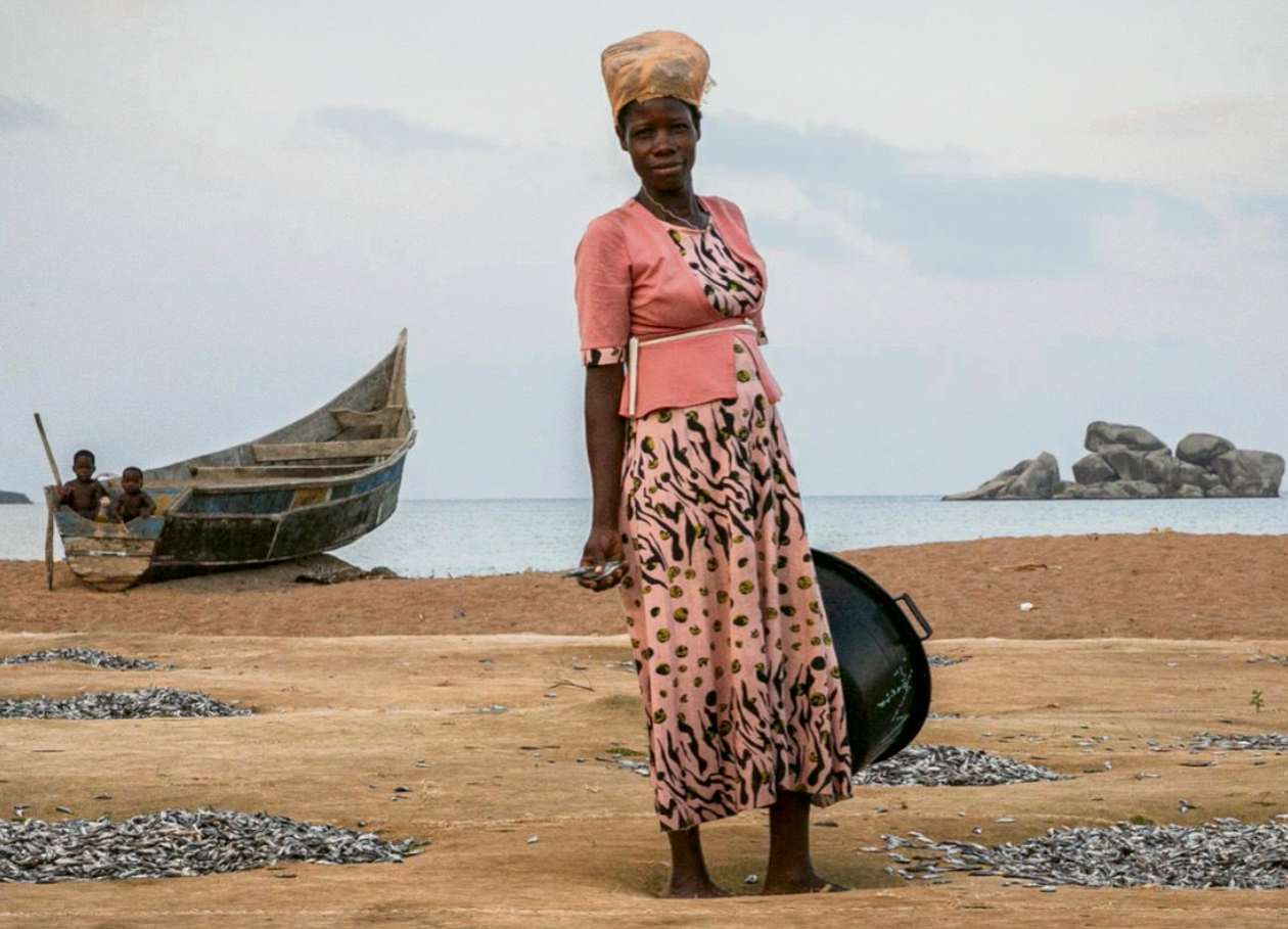 Du betrachtest gerade Wenn ein Fisch ein ganzes Land bewegt