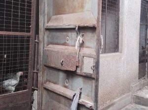 Mehr über den Artikel erfahren Annett baut einen Hühnerstall