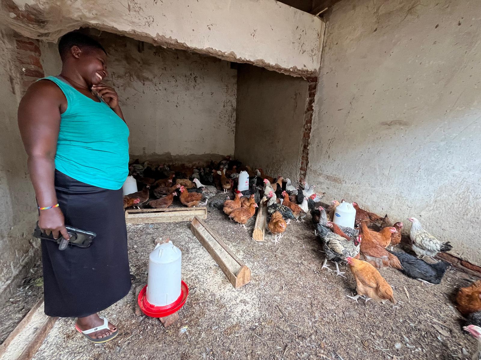 Du betrachtest gerade Annett baut einen Hühnerstall