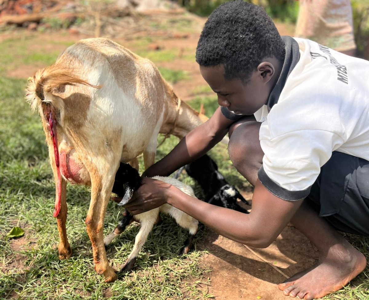Du betrachtest gerade TOKA: Jedes Leben zählt